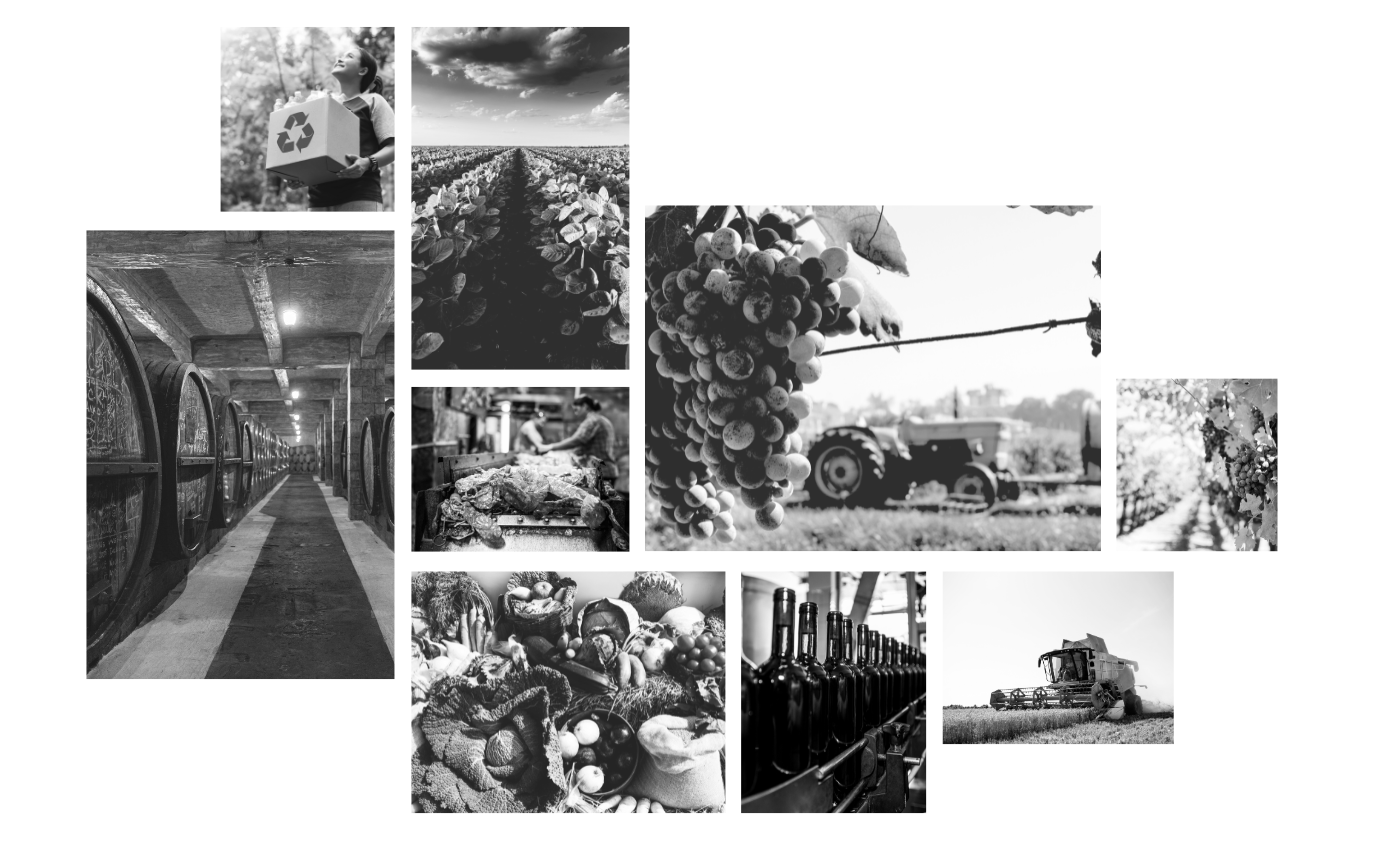 Equipo Agrovinos